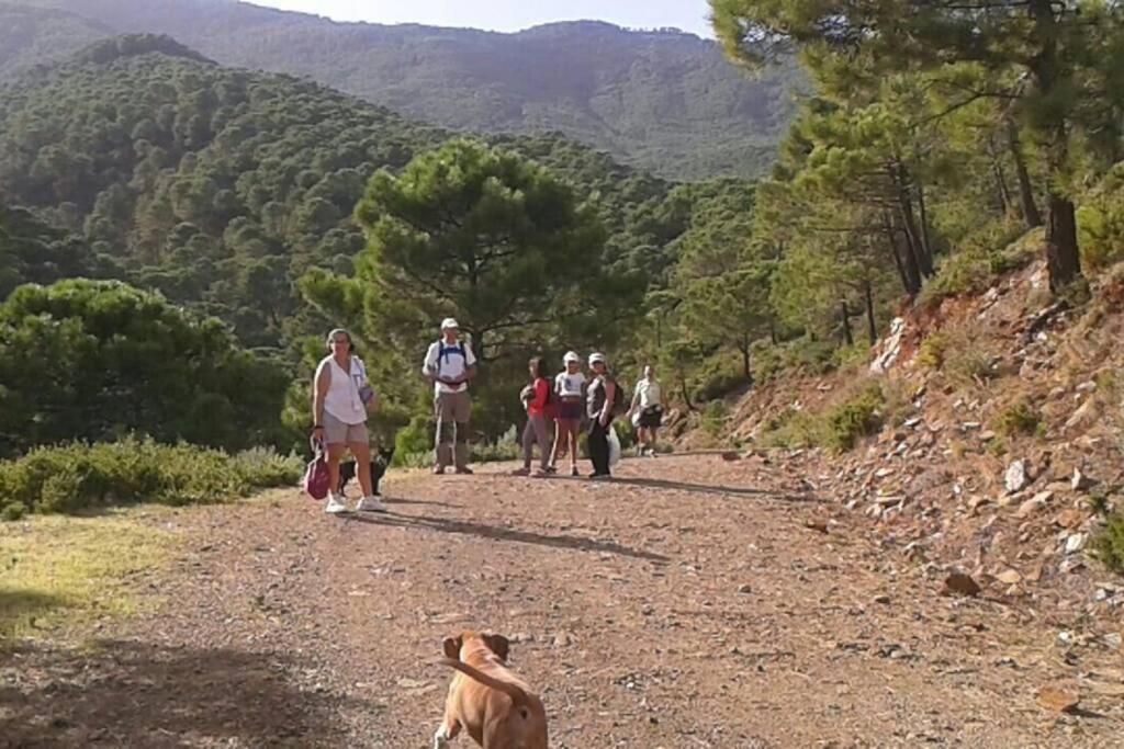 Appartamento Playa Escollera Estepona Esterno foto